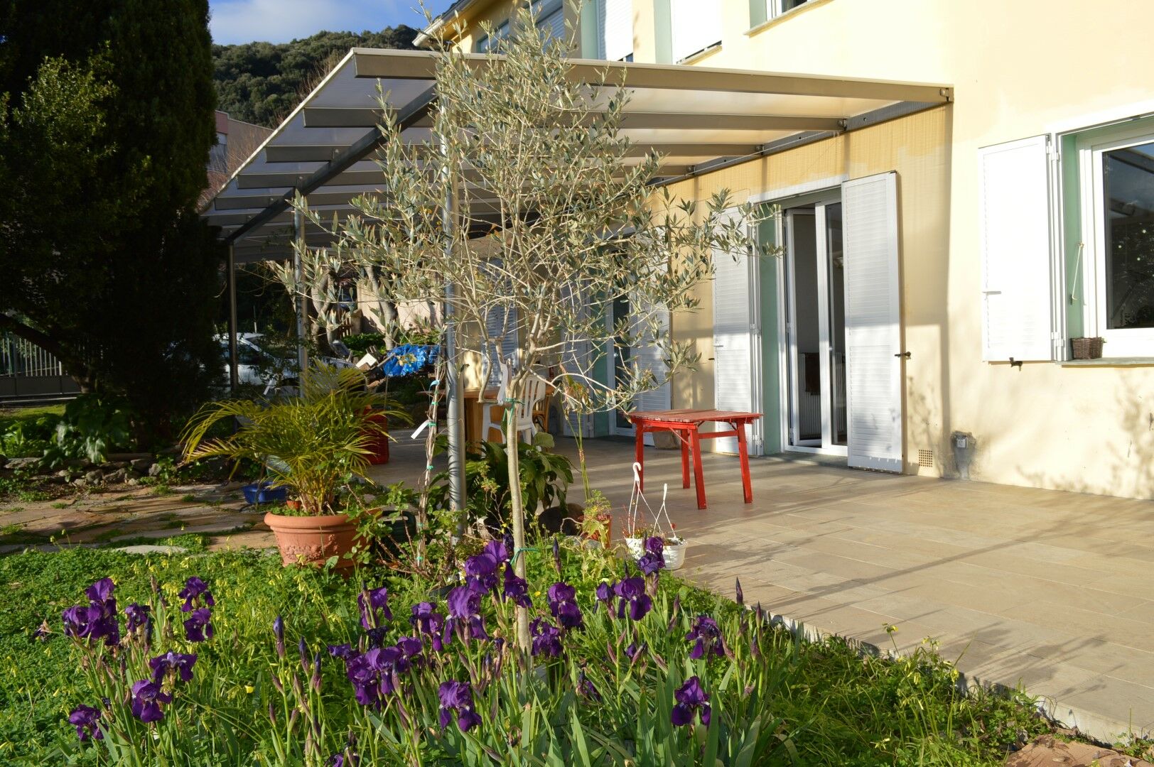 jardin 2