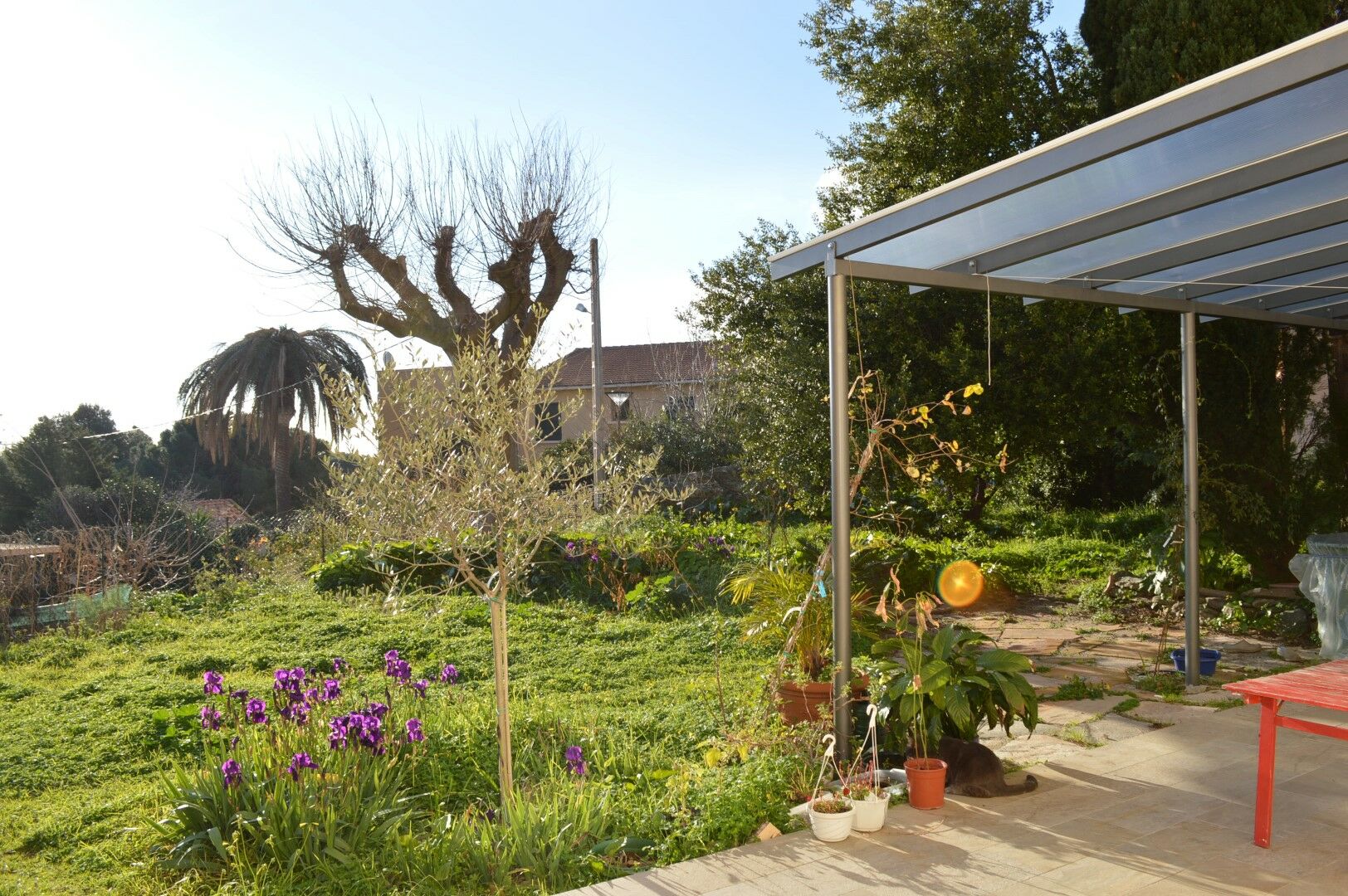 jardin 3
