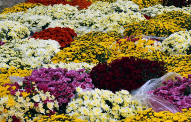 Culte en direct 02 novembre 2025