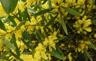 Culte en direct 15 février 2026