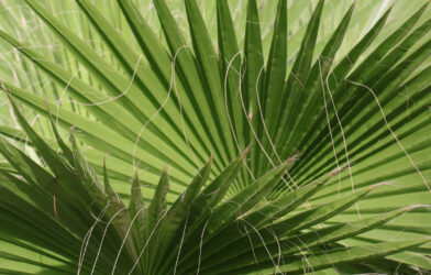 Culte en direct 29 mars 2026