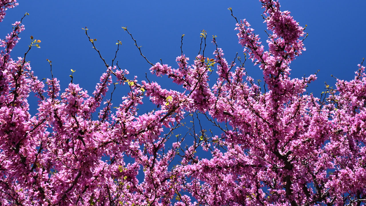 Analyse du culte en direct du 26 avril 2026 : Quelles implications pour l'avenir ? - ARTIA13 CITY