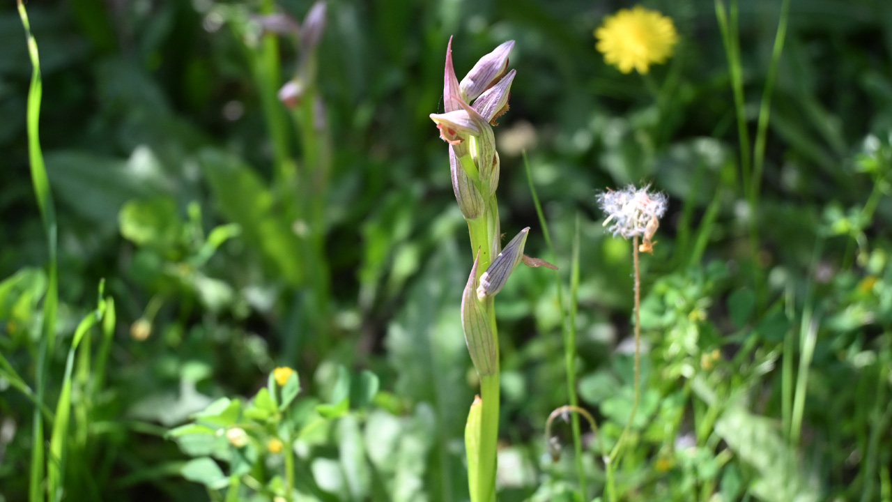 Culte en direct 03 mai 2026